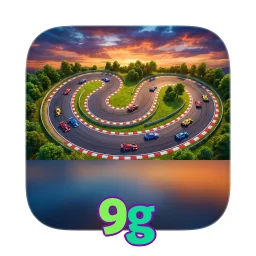 9g