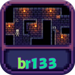 br133