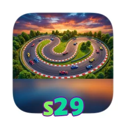 s29