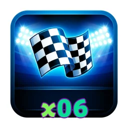 x06